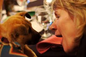 Paw Hurrah at Toledo Country Club