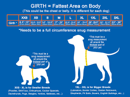 We have a fascinating and long running thread on our forum, where members enter the weights of their puppies at different ages. Measure Your Dog Measure For Our Blind Dog Halo Harness Muffin S Halo