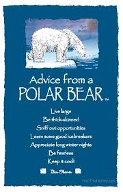 Advice From A Polar Bear Bear Quote Polar Bear Nature Quotes