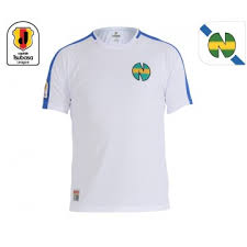 Maillot De Foot Newteam 1 Olive Et Tom