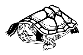 Download Free Turtle Svg Cut File Free Svg Cut Files Create Your Diy Projects Using Your Cricut Explore Silhouette And More The Free Cut Files Include Svg Dxf Eps And Png Files SVG Cut Files
