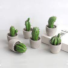 Check out one of these 15 diy cardboard cacti. Artificial Cactus Potted Plant Cute Fake Cactus Nordic Home Garden Decor Succulent Plants For Farmhouse Office Desktop Decor Artificial Plants Aliexpress