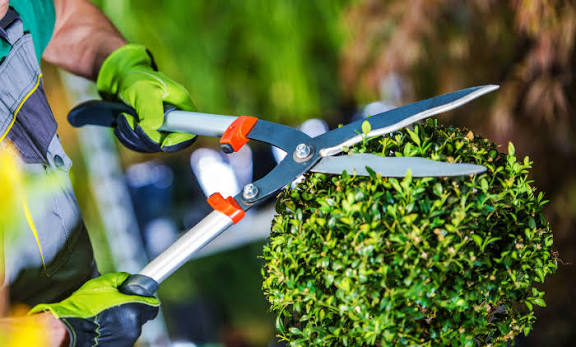 EPIs essenciais para o jardineiro >> Blog Conecta FG