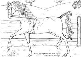 Bay purebred stallion horse of arabian breed. Coloring Page Wally Dressage Free Printable Coloring Pages Img 6093