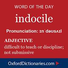 Indocile Adjective Difficult To Teach Or Discipline Not Submissive Word Of The Day For November 8th 2014 Wotd Uncommon Words Rare Words Word Of The Day