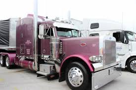 Jamboree's Truck Beauty Contest names winners