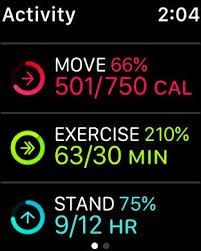 Pin By Lena What Mommy Does On Apple Watch Activity In 2020 Apple Watch Activity Activities Apple Watch