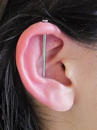 Pin By Freddie Ryals On Piercing Wishlist Earings Piercings Ear Piercings Types Of Ear Piercings