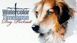 Whether it's a dog portrait, horse portrait or cat painting. Watercolor Speed Painting Timelapse Dog Portrait Youtube