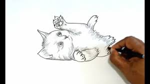 Join our community and create your own a cat drawing lessons. How To Draw A Kitten Youtube