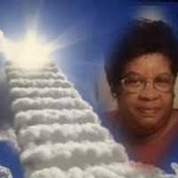 4321202_fbs.JPG?cb=20251112022948