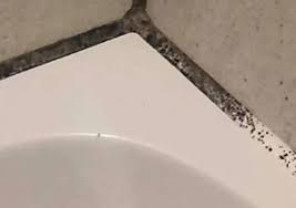 Dieser Simple Trick Macht Ihre Fugen Wieder Strahlend Weiss Schimmel In Der Dusche Schimmel In Der Dusche Entfernen Fugen Reinigen