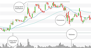 How To Read Stock Charts Trusty Technical Analysis F