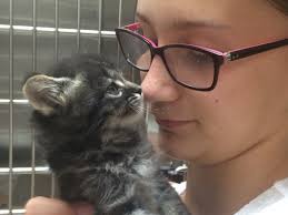 For the best experience, we recommend you upgrade to the latest version of chrome or safari. Veterinarian In Rio Rancho Nm Mission Veterinary Clinic