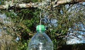 Piege a guepe et frelon tap trap redoutable. Comment Fabriquer Facilement Un Piege A Frelons Asiatiques Pas Cher Et Efficace Nevers 58000