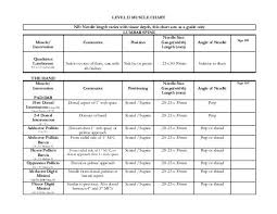 level ii muscle chart nb needle length varies kinetacore