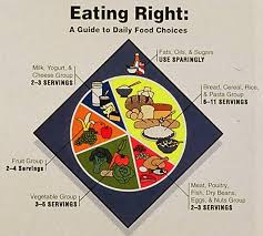 why its good that the food pyramid became a plate the