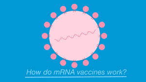 A professor in ireland baselessly claims in a video circulating on. Covid 19 Vaccine Fact Vs Fiction An Expert Weighs In On Common Fears Uc San Francisco