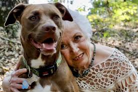 Toni Lynne McNulty Obituary March 24, 2024