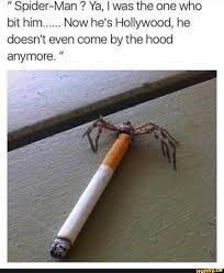 Spider Man Ya I Was The One Who Bit Him Now He S Hollywood He Doesn T Even Come By The Hood Anymore Ifunny Stupid Funny Memes Marvel Funny Haha Funny