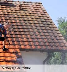 Les travaux de charpente : Entreprise Nettoyage De Toiture A Sainte Souline Tel 05 33 06 26 14
