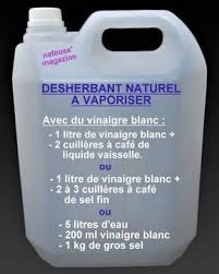 Faire Son Desherbant Naturel Pour Le Jardin Desherbant Naturel Desherbants Faits Maison Trucs Et Astuces Jardinage