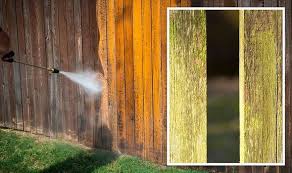 If you don't have a garden hose, thoroughly cleanse your garden sprayer and fill it with water to rinse the siding. Cleaning Mrs Hinch Fans Share How To Remove Green Algae And Mildew From Wooden Fences Express Co Uk