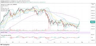 Get free access to btc usd price chart, live rate and quotes in real time. 4iannumi2ohfkm
