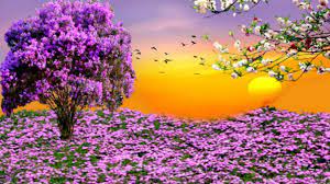 Spring Hd Desktop Wallpaper Free Spring Desktop Wallpapers Toptenpack Com Spring Desktop Wallpaper Spring Wallpaper Hd Spring Landscape Photos