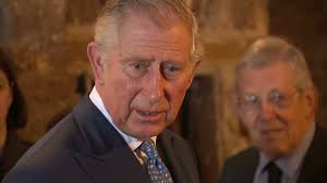 12 Videos, Footage, & Video Clips