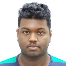 International experts