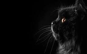 If you're in search of the best desktop wallpaper dark, you've come to the right place. Cute Black Wallpapers Gallery 2021 Wallpaper Aesthetic