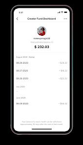 Creator Fund Creator Portal Tiktok