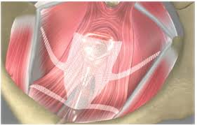 Pin On Mesh Awareness