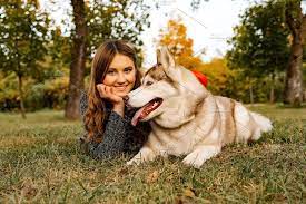 woman in autumn park with a husky girl and dog autumn park dog stock photo