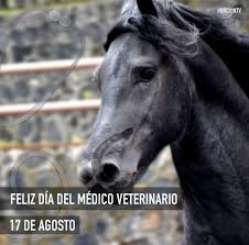 Medico veterinario walter londra 23 de. Bridontv Auf Twitter Feliz Dia Del Medico Veterinario Gracias A Ustedes Los Caballos Estan En Las Mejores Condiciones Felizdiadelveterinario Bridontv Https T Co 7cqur2dzzk