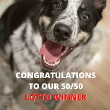 Toronto Humane Society Congratulations To Our 50 50 Lotto Winner Draw Date June 30 2020 Winning Number 5556344 Jackpot Prize 59 290 If This Is Your Number Please Email Fundraising Torontohumanesociety Com With Following Attached