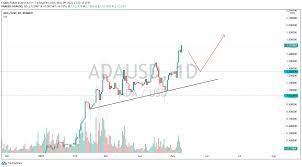 Cardano looks like a very promising investment. This Is When Cardano Ada Price Will Reach 3 Cryptoticker