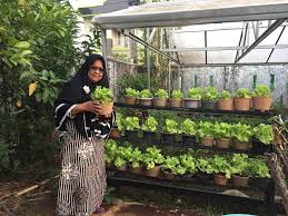 Istilah pembangunan bisa saja diartikan berbeda oleh satu orang dengan orang lain, daerah yang satu dengan daerah lainnya, negara satu dengan negara lain. Pertanian Organik Sebagai Solusi Pertanian Berkelanjutan Mongabay Co Id