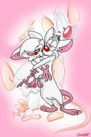 Роб полсен, морис ламарш, тресс макнилл и др. 22 Pinky And The Brain Ideas Pinky Animaniacs Brain