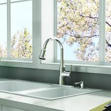 function sprayer kitchen faucet