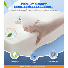 Odorless Memory Foam Pillow