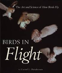 Birds Chirping In The Morning Sound Effect The Best Books About Or Featuring Birds Bird Book Birds In Flight How Do Birds Fly