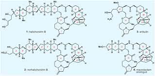 A unified strategy for the total syntheses of eribulin and a macrolactam  analogue of halichondrin B | PNAS