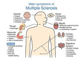 That means the system designed to keep your body healthy mistakenly attacks parts of your body that are vital to everyday. Multiple Sclerosis On Customer Support Knowledge Base