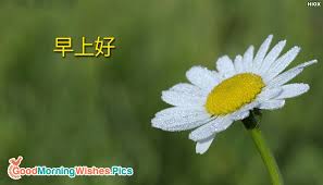 But in practice, people often simplify this to just one character: Good Morning In Chinese æ—©ä¸Šå¥½ Goodmorningwishes Pics