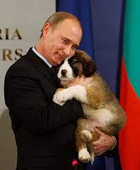 Putins dog named… a five year old won the competition of naming putin's dog. Putin S Puppy Csmonitor Com