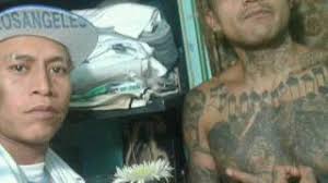 REGRESO ese sonyrzl FT .jack .conejo y el locosdn