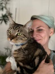 Lost siamese mix cat in Renton found