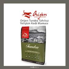 Kediler Neden Tuy Doker Tuy Dokumunu Engelleyen En Iyi 5 Kedi Mamasi